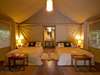 Gorilla Forest Camp -Accommodation 